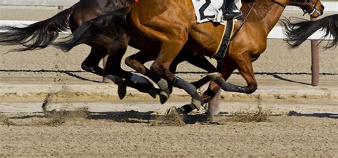 OTB & Live Horse Racing in Colorado .